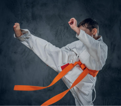 Judo preview
